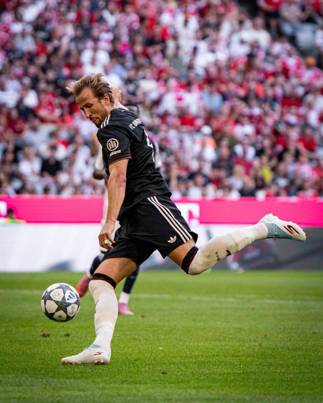 包含荷兰血洗葡萄牙，哈里·凯恩爆发神勇的词条