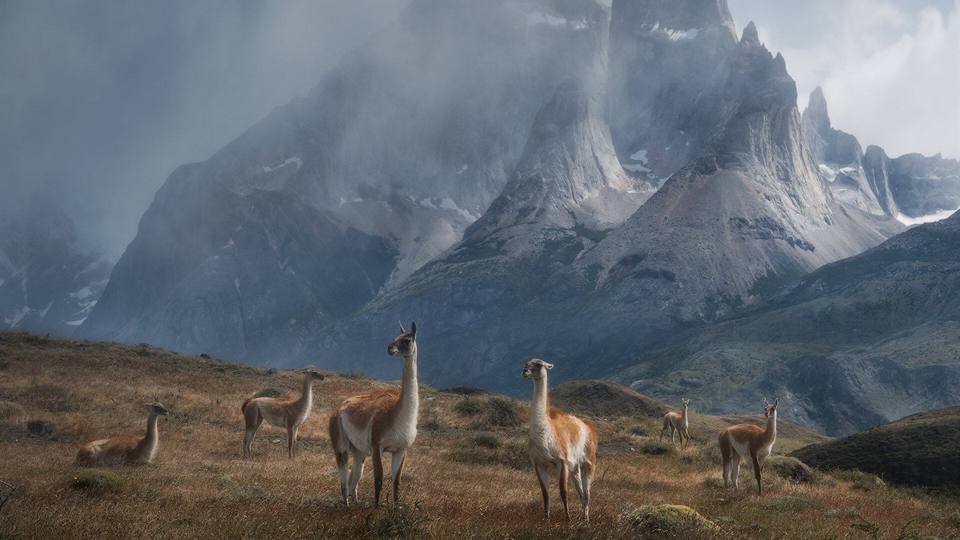 开云体育登录-当恩比德成为教科书，北京对阵吉林一役的唯一性解读