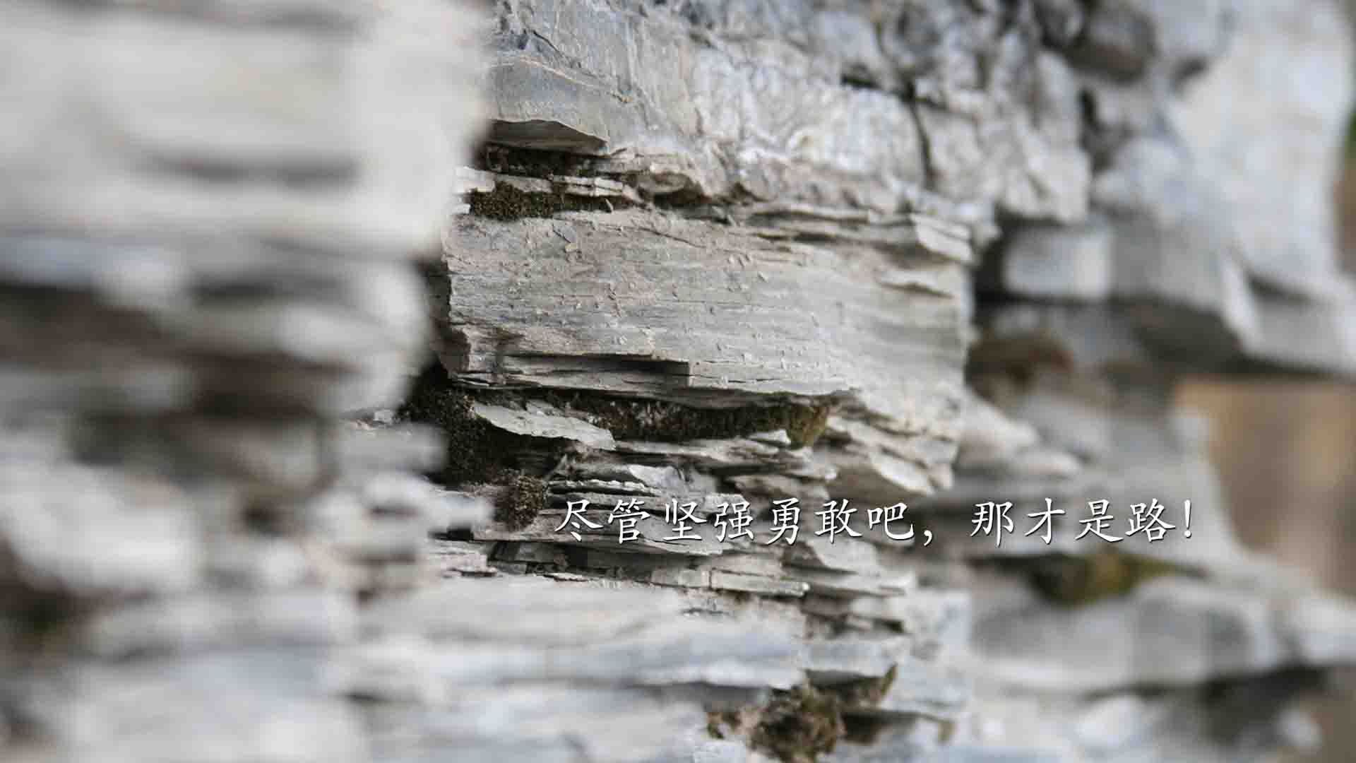 开云体育入口-2026世界杯巅峰对决，巴西碾压加拿大，吉鲁王者降临，门将天神下凡铸就唯一经典